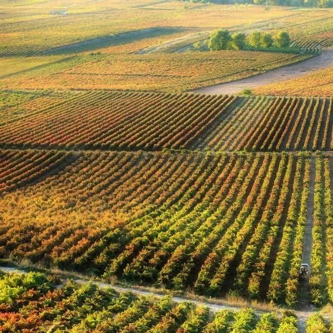 Krajobraz winnic Rioja